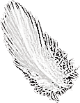 Plume arrière-plan